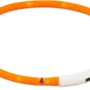 Best Friend Koirat*Gear BF Gear LED valopanta 40cm säädettävä