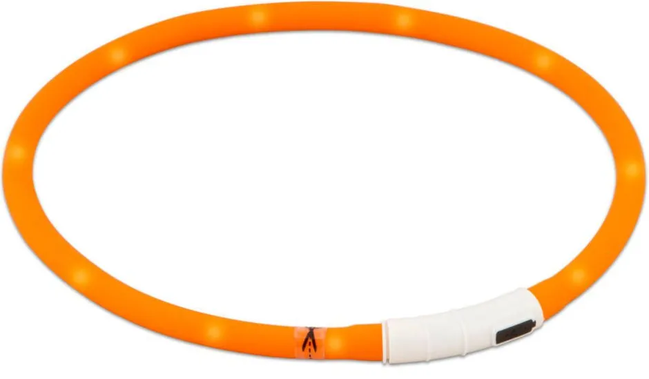 Best Friend Koirat*Gear BF Gear LED valopanta 70cm säädettävä