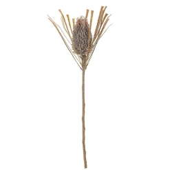 Bloomingville Koriste-Esineet*koristeoksa Palmflower ruskea