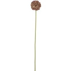Bloomingville Koriste-Esineet*koristeoksa Allium ruskea