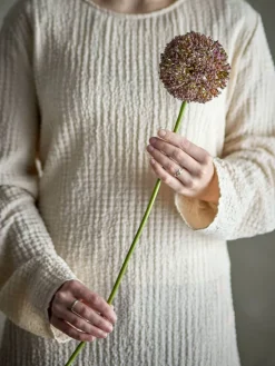 Bloomingville Koriste-Esineet*koristeoksa Allium ruskea