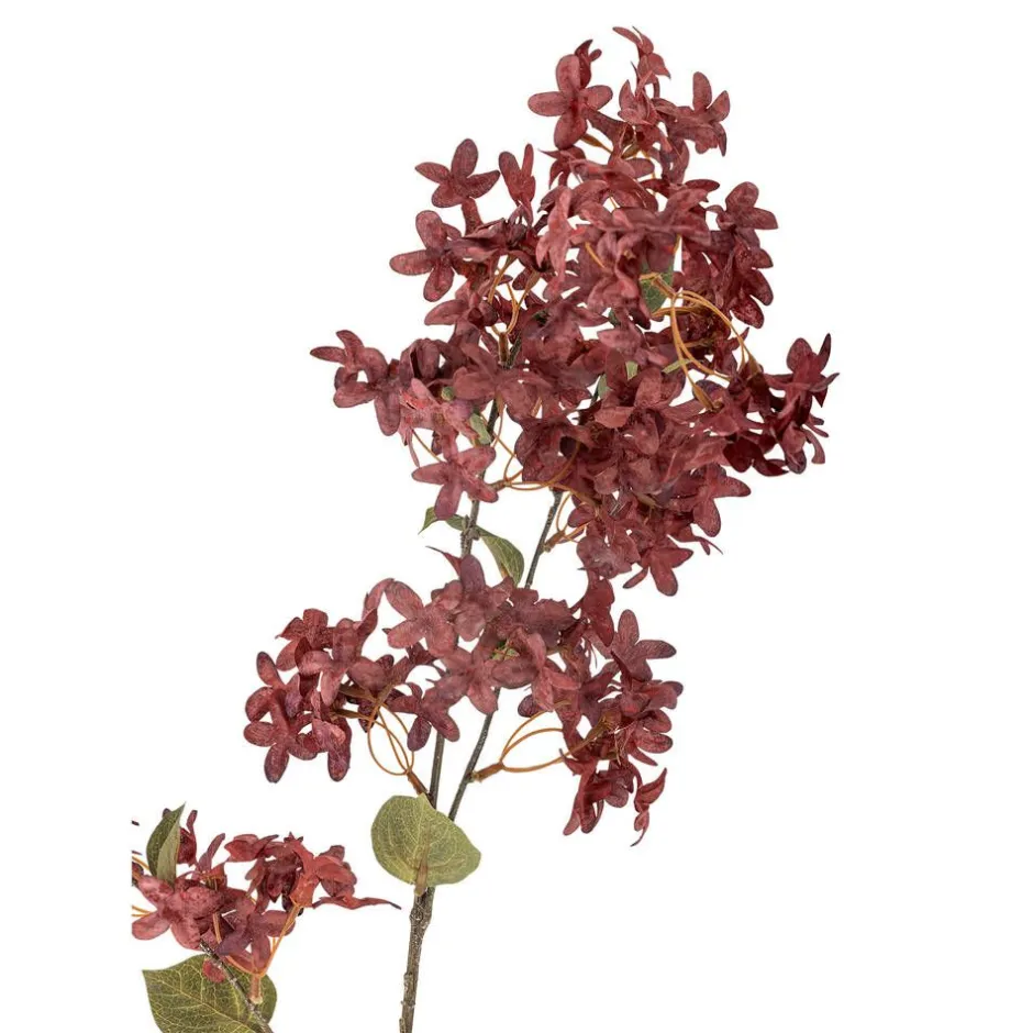 Bloomingville Koriste-Esineet*koristeoksa Myrtle viininpunainen