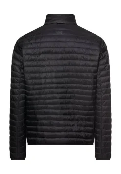 Camel Active Kevättakit*kevyttoppatakki 430590 9N90