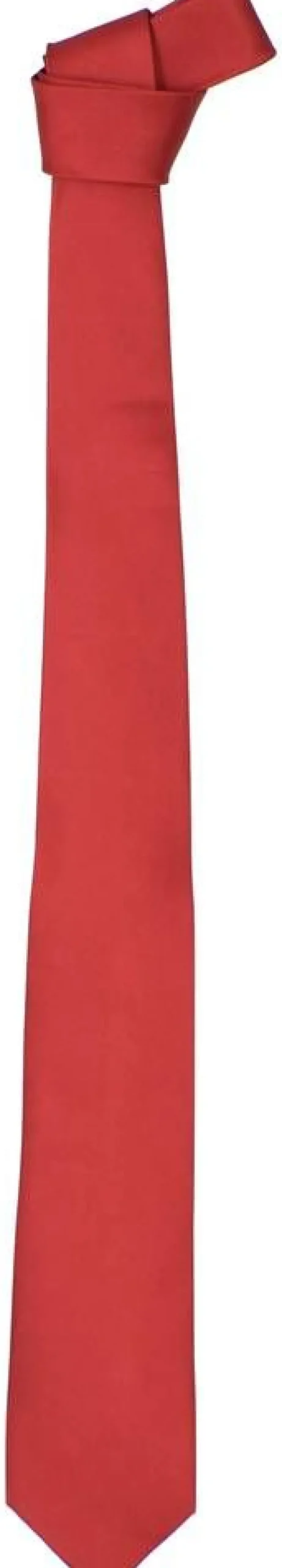 Exquis Silk Solmiot, Rusetit Ja Taskuliinat*Silkkisolmio