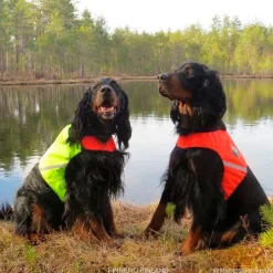 Finnero Koirat*Ukko Signal Vest Metsästysliivi punainen/keltainen XS