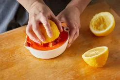 Fiskars Keittiötarvikkeet*Functional Form Sitruspuristin