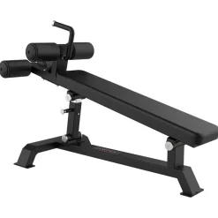 Gymstick Kuntoilulaitteet*vatsapenkki PRO