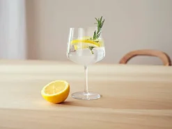 Iittala Astiat*Essence coctaillasi 63 cl 2 kpl