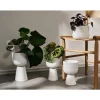 Iittala Maljakot Ja Ruukut*Kastelupullo 2 kpl