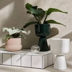 Iittala Maljakot Ja Ruukut*Kastelupullo 2 kpl