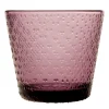 Iittala Astiat*Tundra juomalasi 29 cl kanerva