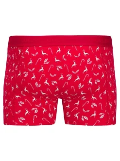 Jack & Jones Alusvaatteet*bokserit Jacdeer 3pack Sky Captain