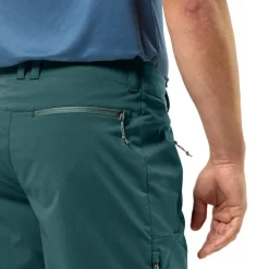 Jack Wolfskin Shortsit|Housut*shortsit Glastal M 4299 Emerald