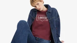 Levi's Trikoopaidat Ja Colleget*t-paita Graphic Boxy 0021 Rope wonky burgundy