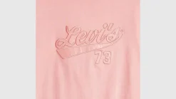 Levi's Trikoopaidat Ja Colleget*t-paita Graphic Boxy t-shirt