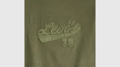 Levi's Trikoopaidat Ja Colleget*t-paita Graphic Boxy t-shirt