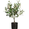 4Living Koriste-Esineet*oliivipuu ruukussa 60 cm