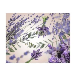Maison Berger Tuoksukynttilät Ja Huonetuoksut|Kynttilät Ja Huonetuoksut*huonetuoksu Lavender Fields 100 ml