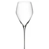 Riedel Astiat*Veloce Champagne Wine Glass samppanjalasi 2 kpl
