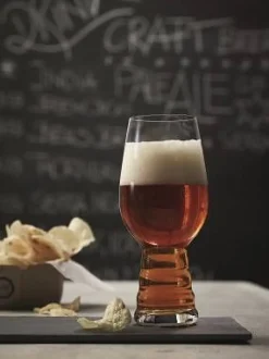 Spiegelau Astiat*Olutlasi Craft IPA 2 kpl