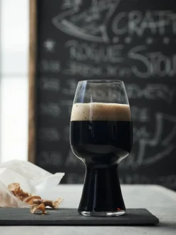 Spiegelau Astiat*Olutlasi Craft Stout 2 kpl