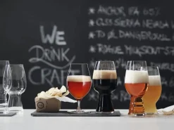 Spiegelau Astiat*Olutlasi Craft tasting Kit 4 kpl