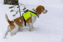 Tracker Metsästyselektroniikka*valjas G500/G1000 M -koko