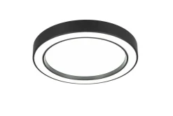 Trio Lighting Sisustusvalaisimet*LED kattovalaisin Arco 40 cm mattamusta RGBW