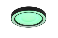 Trio Lighting Sisustusvalaisimet*LED kattovalaisin Arco 40 cm mattamusta RGBW