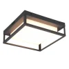 Trio Lighting Ulkovalaisimet*LED kattovalaisin Witham antrasiitti