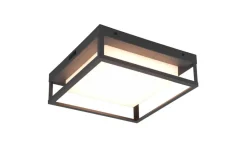 Trio Lighting Ulkovalaisimet*LED kattovalaisin Witham antrasiitti