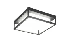 Trio Lighting Ulkovalaisimet*LED kattovalaisin Witham antrasiitti