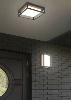 Trio Lighting Ulkovalaisimet*LED kattovalaisin Witham antrasiitti