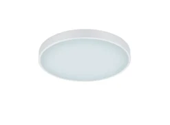 Trio Lighting Sisustusvalaisimet*LED kattovalaisin Waco 49 cm mattavalkoinen