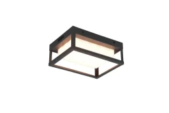 Trio Lighting Ulkovalaisimet*LED seinävalaisin Witham antrasiitti