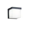 Trio Lighting Ulkovalaisimet*LED seinävalaisin Yangtze antrasiitti