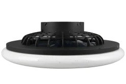 Trio Lighting Sisustusvalaisimet*LED tuuletinkattovalaisin Stralsund mattamusta