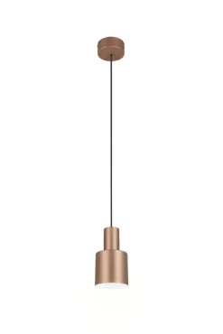 Trio Lighting Sisustusvalaisimet*riippuvalaisin Agudo 1-os E27 kahvinruskea