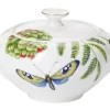 Villeroy&Boch Tarjoilu*Amazonia Sokerikko 0,35l