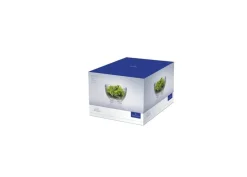 Villeroy&Boch Astiat*Boston Kulho 21,6 cm 3,2l