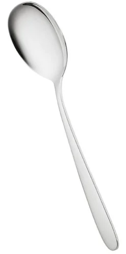 Villeroy&Boch Tarjoilu*Daily line Tarjoilulusikka
