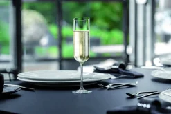 Villeroy&Boch Astiat*NewMoon Crystal samppanjalasisetti 0,17l 4-os.