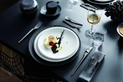 Villeroy&Boch Astiat*NewMoon lautanen 24x2 cm