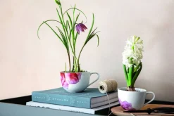 Villeroy&Boch Astiat*Rose Garden aamiaiskuppi 0,45l